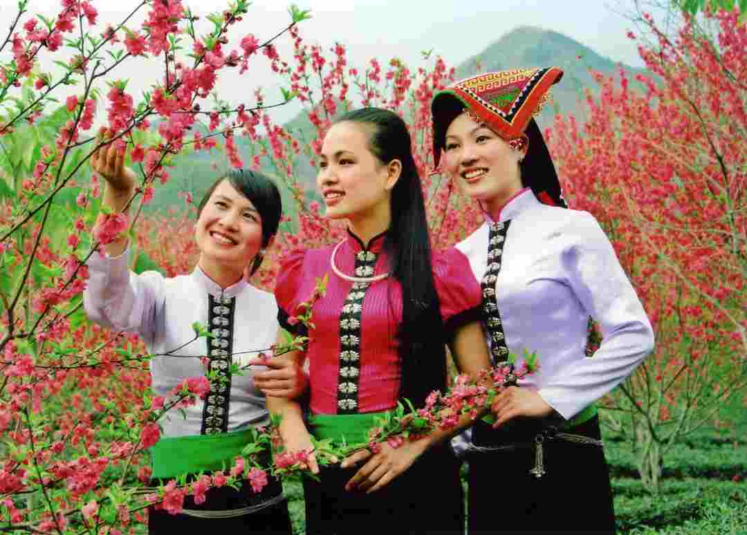Dân tộc Thái là một bộ phận dân tộc ít người sinh sống ở vùng núi
