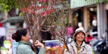 Tết cổ truyền của nước ta bắt đầu tính theo ngày Âm lịch