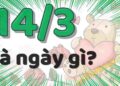Ngày 14/3 ngày gì là băn khoăn của rất nhiều người