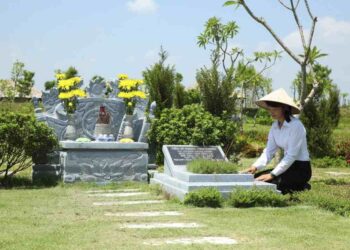 Tảo mộ là gì? Những điều quan trọng khi tảo mộ ngày Tết