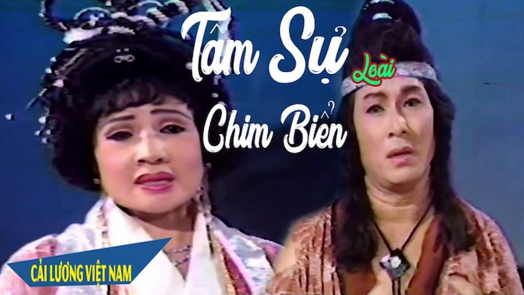 Tâm Sự Loài Chim Biển 