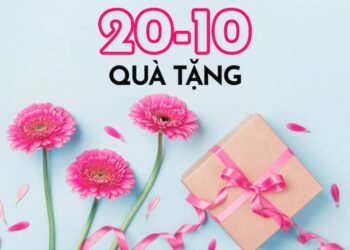 Những món quà tặng ngày 20/10 dành cho bạn